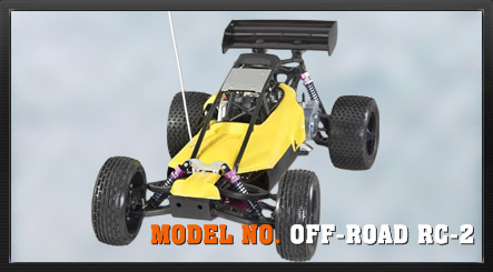  1/5 Scale 23cc Petrol R/C Car ( 1/5 Scale 23cc Petrol R/C Car)