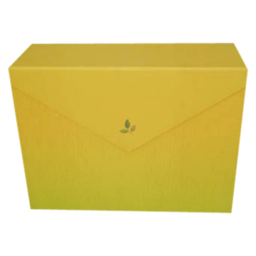  File Case (Материалами дела)