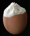  Egg Powder (Oeuf en poudre)