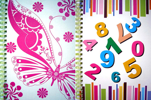  Hard Back Cover Spiral Notebook ( Hard Back Cover Spiral Notebook)