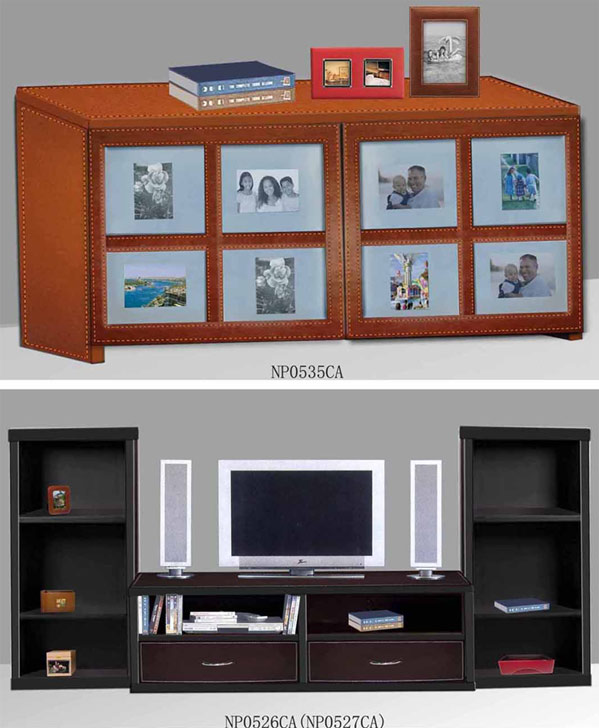  Cabinet (Cabinet)