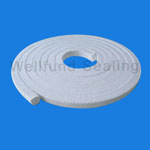  PTFE Braided Gland Packing (PTFE tressé presse-étoupe)