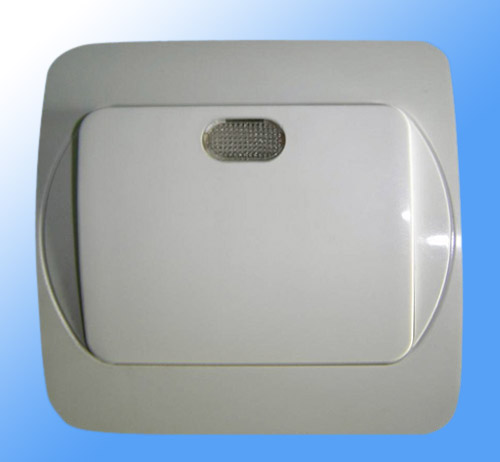  2-Gang Switch with Neon Indicator ( 2-Gang Switch with Neon Indicator)