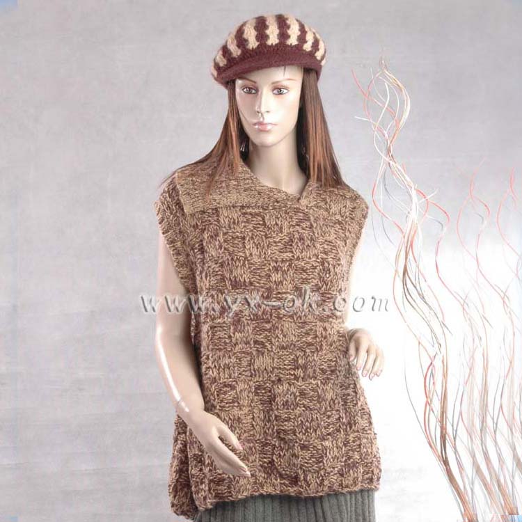  Crochet Sweater ( Crochet Sweater)