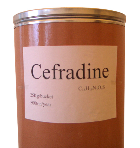  Cefradine (Cefradine)