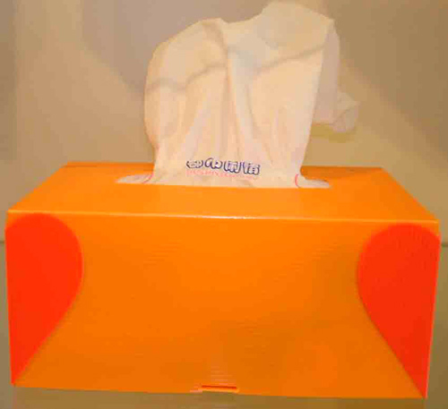  Tissue Box ( Tissue Box)