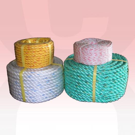  Danline Rope