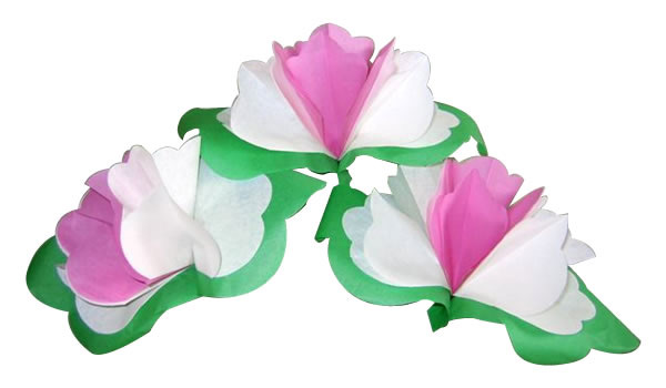  Special Shape Confetti