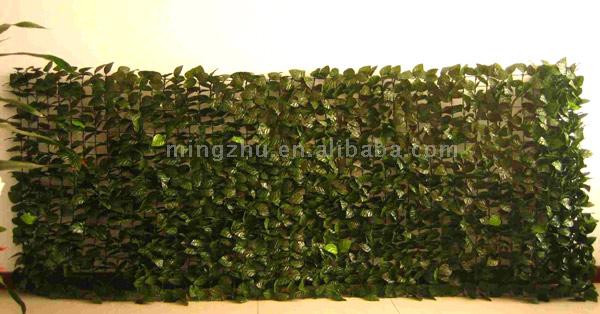 Plastic Fence (Plastic Fence)
