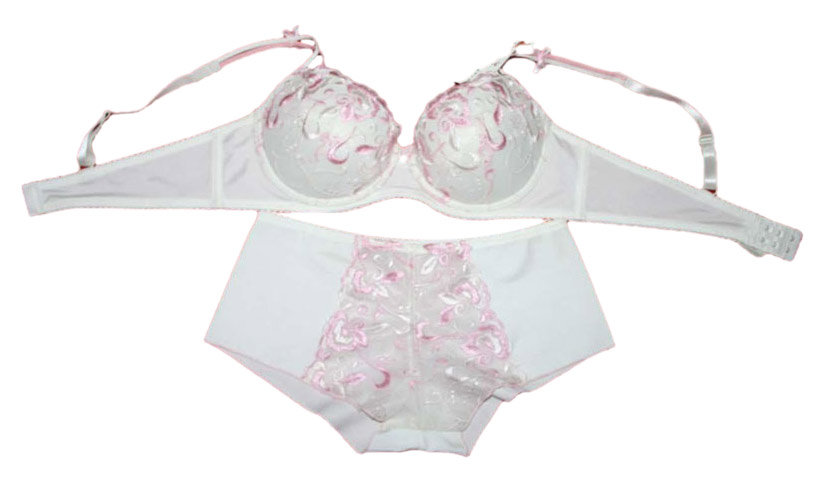  Ladies` Bra and Briefs ( Ladies` Bra and Briefs)