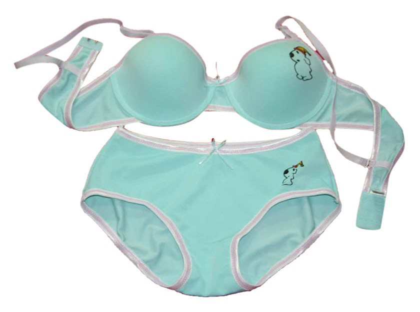  Ladies` Bra and Briefs ( Ladies` Bra and Briefs)