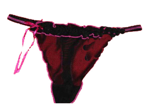  Ladies` Briefs ( Ladies` Briefs)