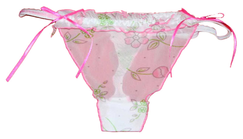  Ladies` Briefs ( Ladies` Briefs)