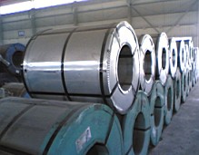  Galvanized Steel Coil (Оцинкованная сталь Coil)