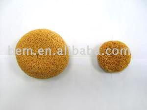  Sponge (Губки)