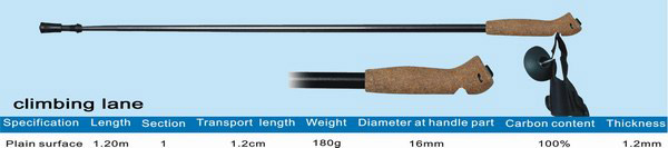  One Section Carbon Walking Stick