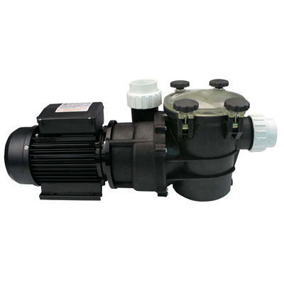  Swimming Pool Pump ( Swimming Pool Pump)