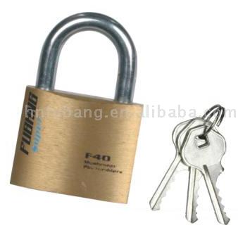  Printed Padlock ( Printed Padlock)