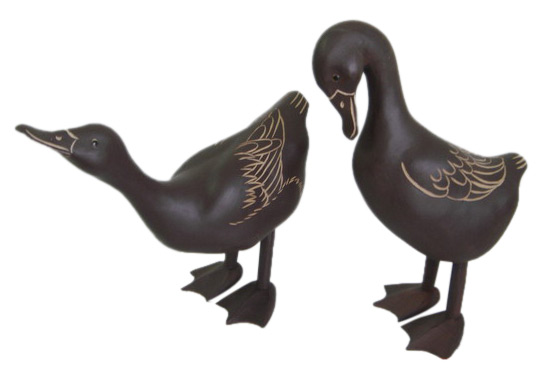  Wooden Duck ( Wooden Duck)