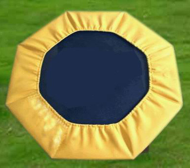  36" Trampoline with Eight Angles (36 "Trampoline avec huit angles)