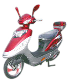  Electric Scooter (Electric Scooter)