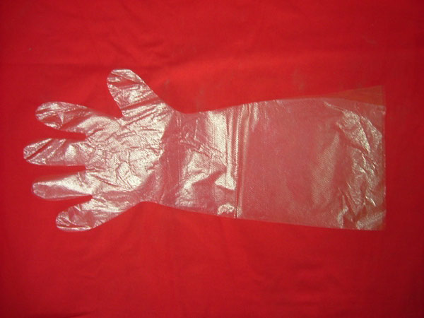  Long Sleeve Glove (Перчатка с длинным рукавом)