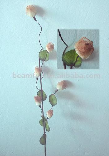  Dry Flower