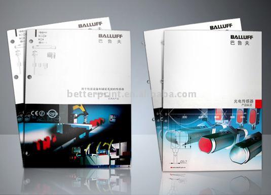  Catalogue and Brochure