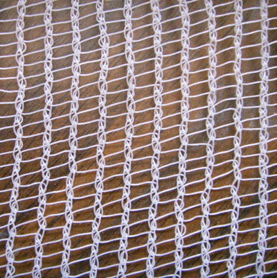  Safety Net