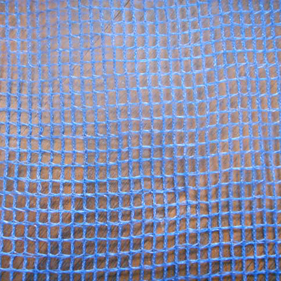  Safety Net