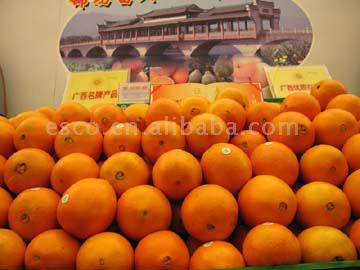 Navel-Orange (Navel-Orange)