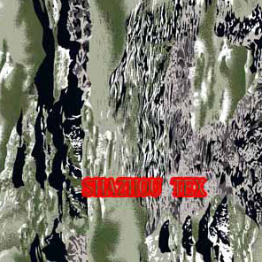  Rayon Printing Fabric ( Rayon Printing Fabric)