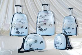 ABS Trolley Case and Weekender