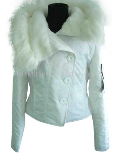  Ladies` Jacket ( Ladies` Jacket)