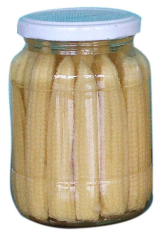  Canned Baby Corn ( Canned Baby Corn)