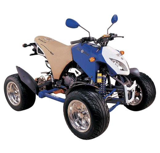  250CC New Design ATV ( 250CC New Design ATV)