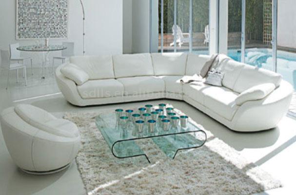  Top Grade Modern Combined Leather Sofa
