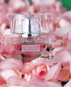  Popular Perfume ( Popular Perfume)