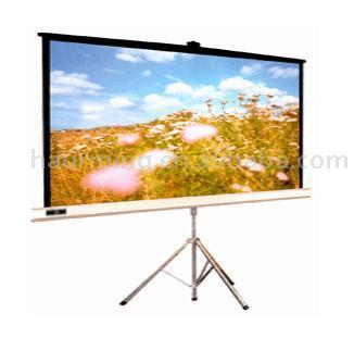  Projection Screen (Dialeinwand)