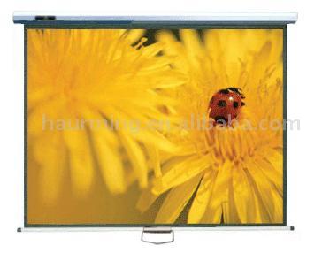  Projection Screen (Dialeinwand)