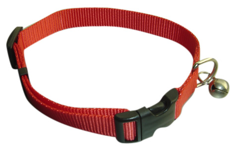  Dog Click Collar