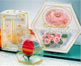  PVC Folding Boxes ( PVC Folding Boxes)
