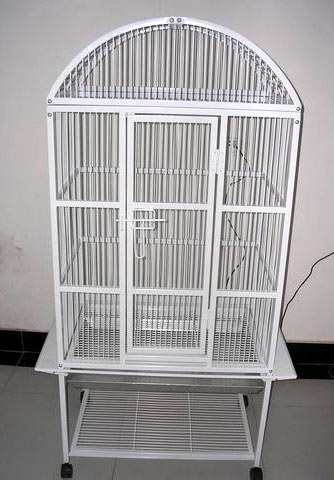  Bird Cage (Bird Cage)