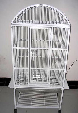 Bird Cage (Bird Cage)