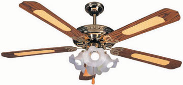  Decorative Ceiling Fan (Ventilateur de plafond décoratives)