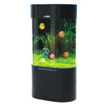  Aquarium Tank (Aquarium Tank)