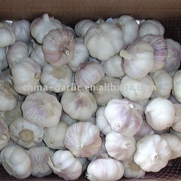 Normal White Garlic (Plein ail blanc)