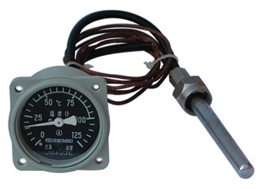  WYZ Remote Gauging Thermometer ( WYZ Remote Gauging Thermometer)