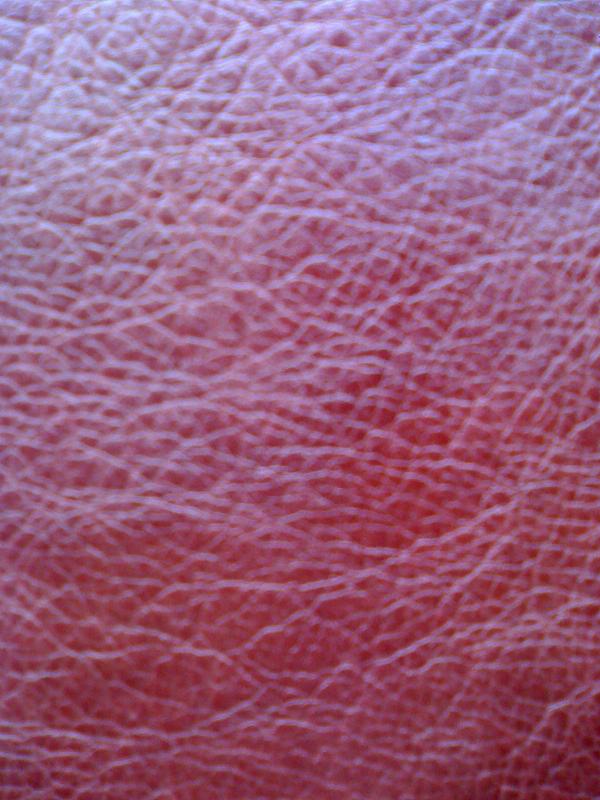  PU Leather for Bags