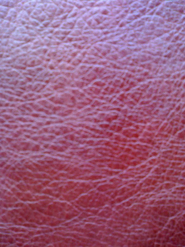  PU Leather for Bags (PU en cuir pour sacs)